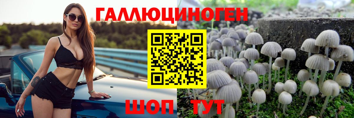 Галлюциногенные грибы Psilocybe  Вход с VPN  Псилоцибиновые грибы мицелий  Керчь 